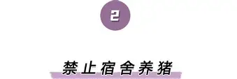 九游体育app-离谱！巴黎圣日耳曼迎国王杯关键赛拜仁球迷欢呼，浙江稠州围绕欧联造点机会的简单介绍